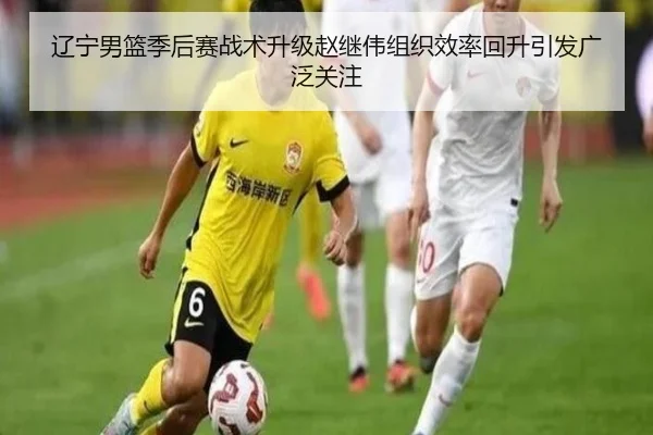 辽宁男篮季后赛战术升级赵继伟组织效率回升引发广泛关注